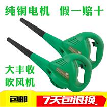 Blower 12V24V household dust collector car 800W high power hair dryer computer barbecue harvester water tank