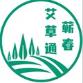 蕲春艾草通