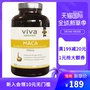 Viva Naturals Hoa Kỳ nhập khẩu các sản phẩm sức khỏe nam giới trưởng thành đích thực maca thô nang Peru - Thức ăn bổ sung dinh dưỡng viên uống bổ sung kẽm