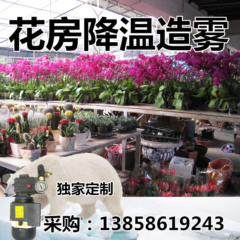 Flower House Orchid Breeding Flowers Breeding Cultivation Cooling Machine Microspray Equipment Garden Farmland Irrigation Water Saving Device