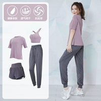 Фиолетовый [короткий рукав] Четырехпаж TC17916