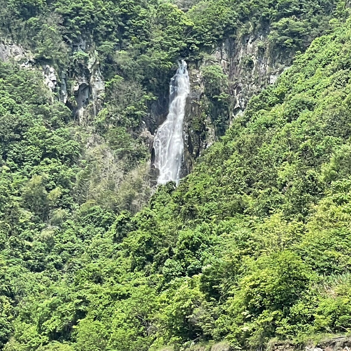暖暖家居119