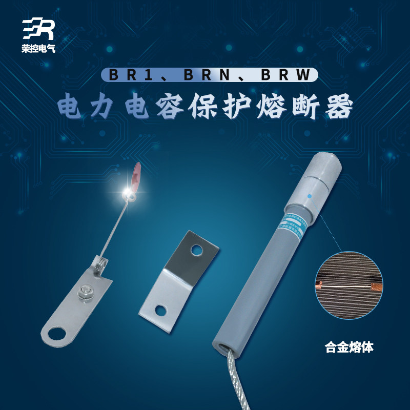 Boom Control BR BRN BRW-10KV 20P 1A3A5A10A20A parallel power capacitor protection fuse