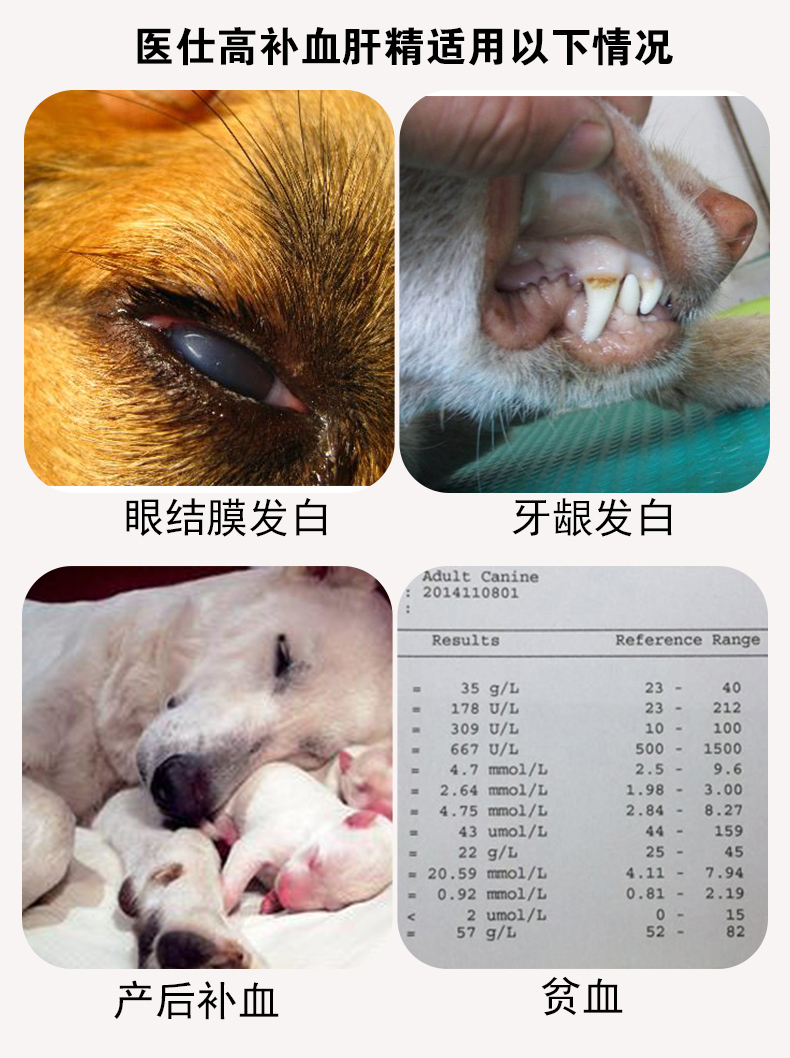 Nhân viên y tế máu cao và tinh chất gan chó mèo cung cấp máu thiếu máu sau phẫu thuật răng lưỡi chó cưng trắng worm giun bụng mèo 30ml - Cat / Dog Health bổ sung 	sữa cho mèo con sơ sinh