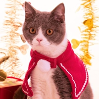 Рождественский плащ