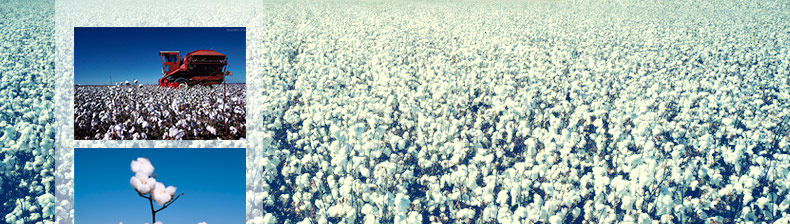 伸展带描述-白底_02