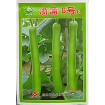 Zhepu No. 6 gourd seeds Pugua gourd night flowering seeds hybrid high-yield vegetable spring sowing 10 grams about 80 grains