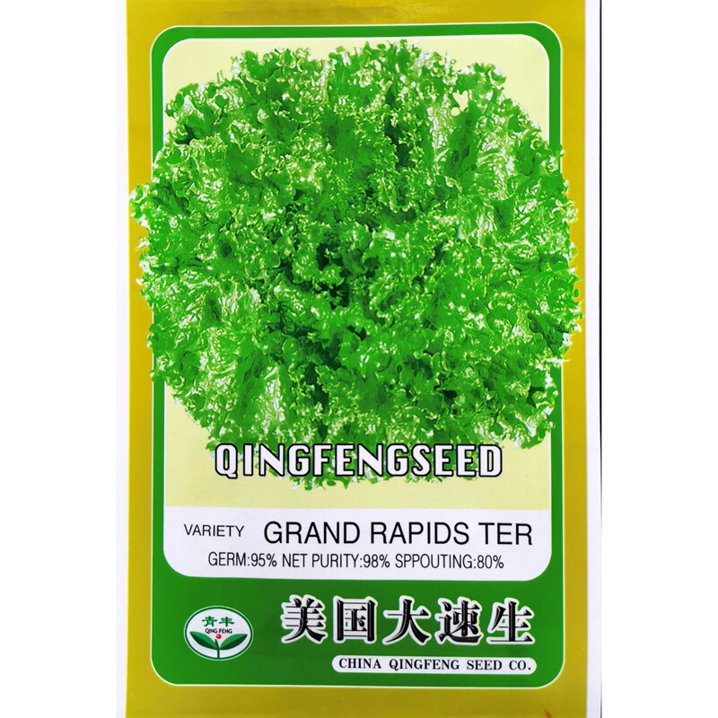 U.S. large fast-growing lettuce seeds broken loose leaves wrinkled leaves not heart-resistant cold-resistant four seasons sowing seed vegetables 3 grams