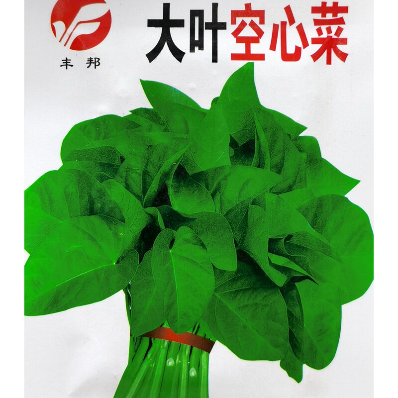 Large Leaf Hollow Vegetable Seeds Large Leaf Through Heart vegetable Vegetable Rice Vegetable vegetable Vegetable Vine vegetable Vegetable Vegetable seeds 20 gr 50 gr 50 gr 200 grains