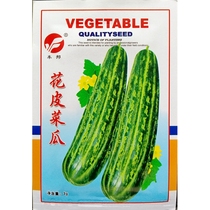 Cucumber melon seeds raw melon corner melon flower pattern green melon spring summer melon fruit vegetable seeds 3 grams 150 capsules
