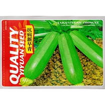 Disease-resistant new early green generation zucchini seeds corner melon vegetable melon green melon raw melon small melon seeds 5 grams bag about 40 grains