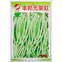 Frameless cowpea seeds without vine long bean angle cylinder bean river bean seed vegetables spring summer and autumn sowing 15 grams about 100 grains
