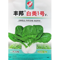 Fengbang Baimei No. 1 hybrid dwarf yellow seed No. 1 dwarf small green vegetable cabbage seed sown 20 grams in four seasons