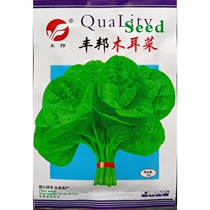 Fengbang fungus seed large-leaf heat-resistant and drought-resistant harvest period Changchun summer sowing seeds 10 grams about 200 grains