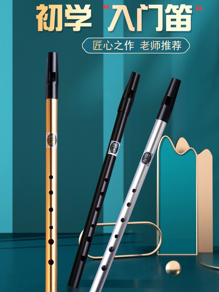 Irish Whistle for Beginners, Metal Whistle with 6 Holes, C/D Key, High-Pitched Metal Professional Straight Flute Instrument