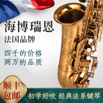 French Hyperion Saxophone x3 Series Beginner Adult E-down midrange exam playing wind music