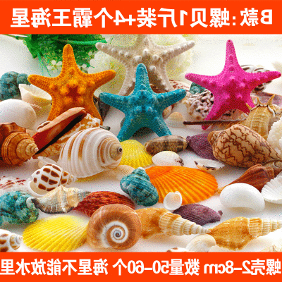 天然贝壳海螺珊瑚海星组合套装鱼缸造景装饰婚庆摆件特价包邮
