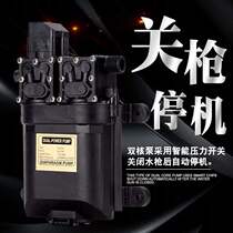 2021 New 12 volt flower orchard pressure switch intelligent gun shutdown sprayer Car Wash 12v nursery sprinkler