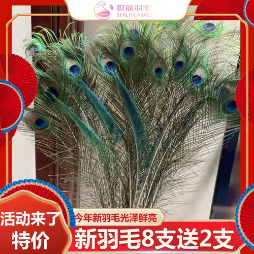 Чистые натуральные перья павлины, павлины павли