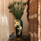 Истинное павлинное перенос