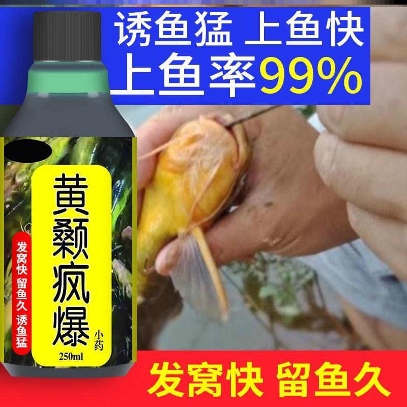 Fishing yellow spicy Ding special bait Wild fishing Ang thorn bait Yellow catfish bait additive explosion Ang Gong Shen lure yellow bone fish Ga fish