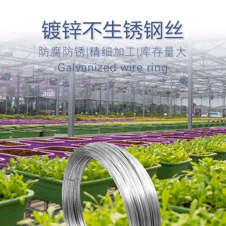 Anti-corrosion galvanized steel wire hot special orchard ten-year rack rusty agricultural greenhouse greenhouse not steel wire rusty grapes