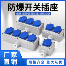 Explosion-proof switch 86 type 220V five-hole ten-hole 10A exposed and concealed industrial waterproof plug-in board 16A explosion-proof socket