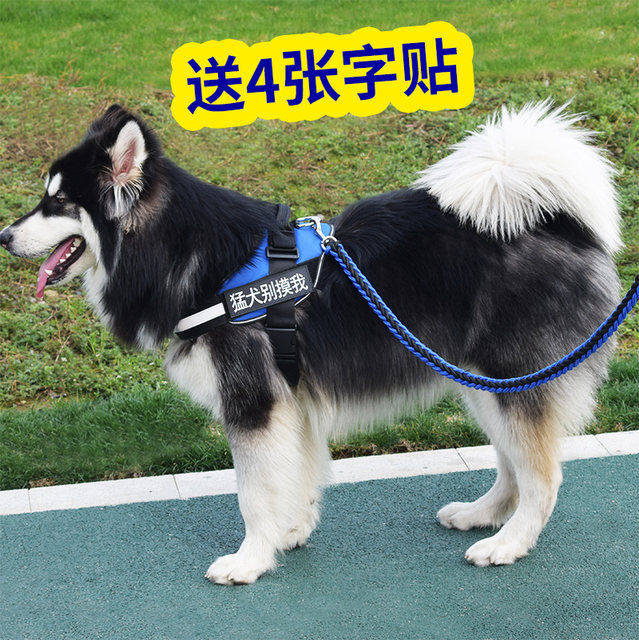 rope style dog leash