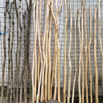 Natural skinless solid wood dry branches dead tree dry branches decoration hanging curtain rod curtain rod partition vase shape dried flowers