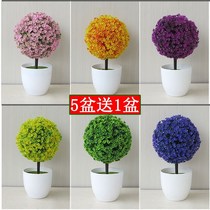 Simulation plant small potted fake flower small tree grass ball bonsai home living room desktop decorations small ornaments set