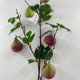 Highly Realistic Imitation Bodhi Fruit Branches, Artificial Foam Berries, Artificial Fruit Ornaments, Decorative Chinese-Style Artificial Fig Tree Branches