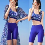 Раздельный купальник, комплект, длинный лонгслив, 3 предмета, по фигуре