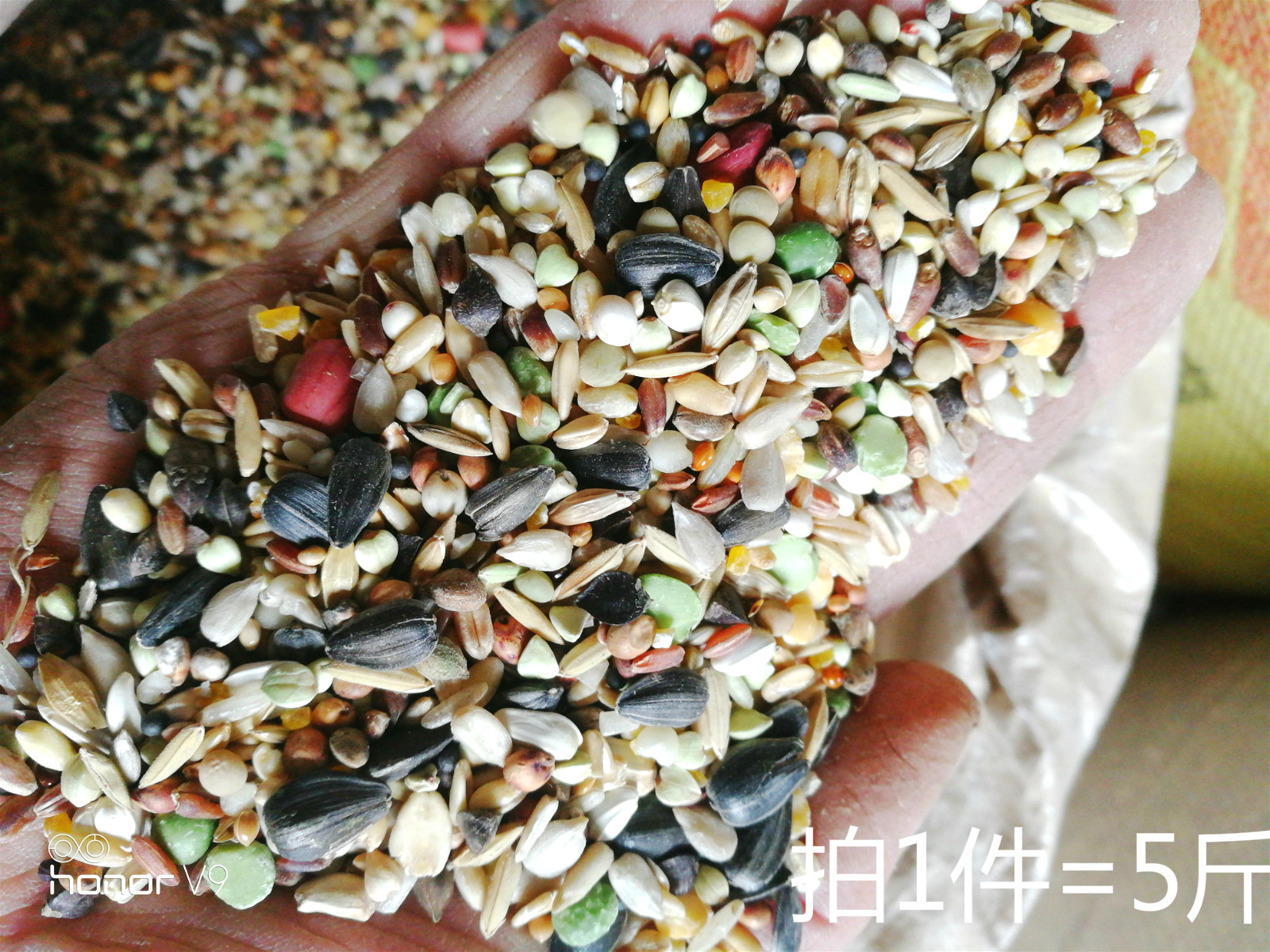 Bird food Hamster food A variety of food reasonable collocation shot 1 = 5 pounds