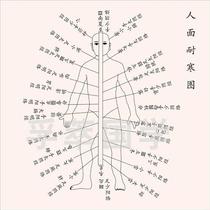 Modern decorative painting human face cold-resistant picture Meridian Meridian Meridian Chinese medicine Chinese traditional Chinese medicine Zhouyi Yi Jing Feng Shui medical learning wall chart