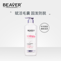 Beaver Scalp core growth solid development hair shampoo Scalp cleaning Hair growth hair growth Hair growth Hair growth Hair growth Hair loss prevention