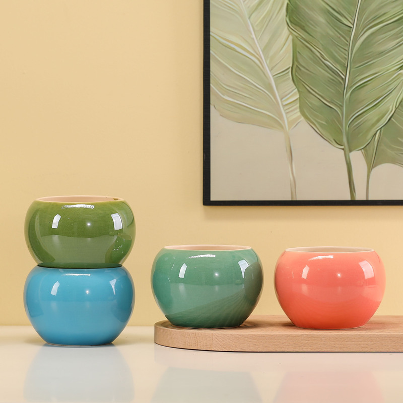 Colorful Succulent Flower Pots, Large Diameter, Fresh and Affordable, Balcony Succulent Set, Special Offer with Tray
