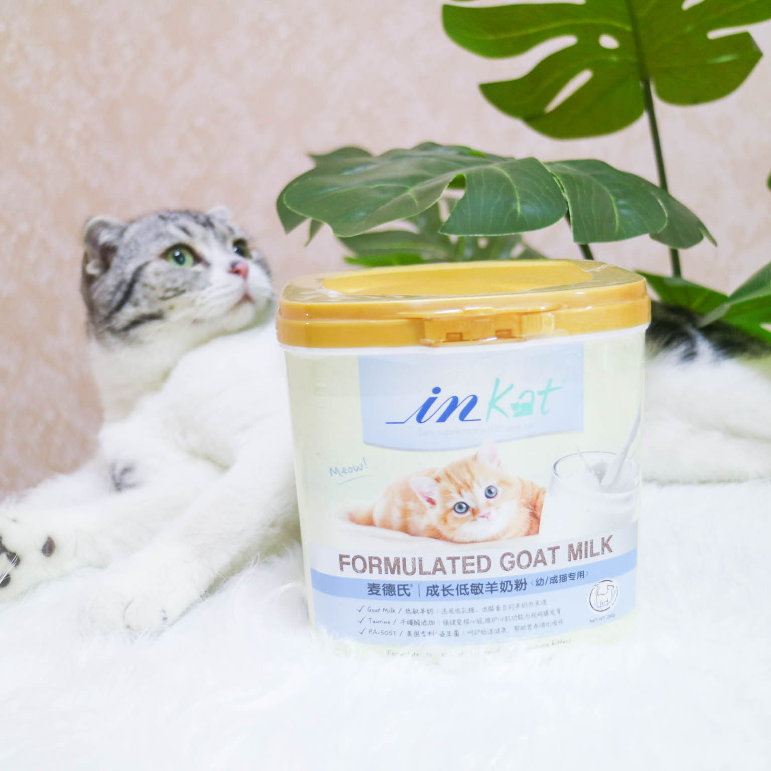 in kat Med's growing hypoallergenic goat milk powder kitten adult cat milk powder 280g