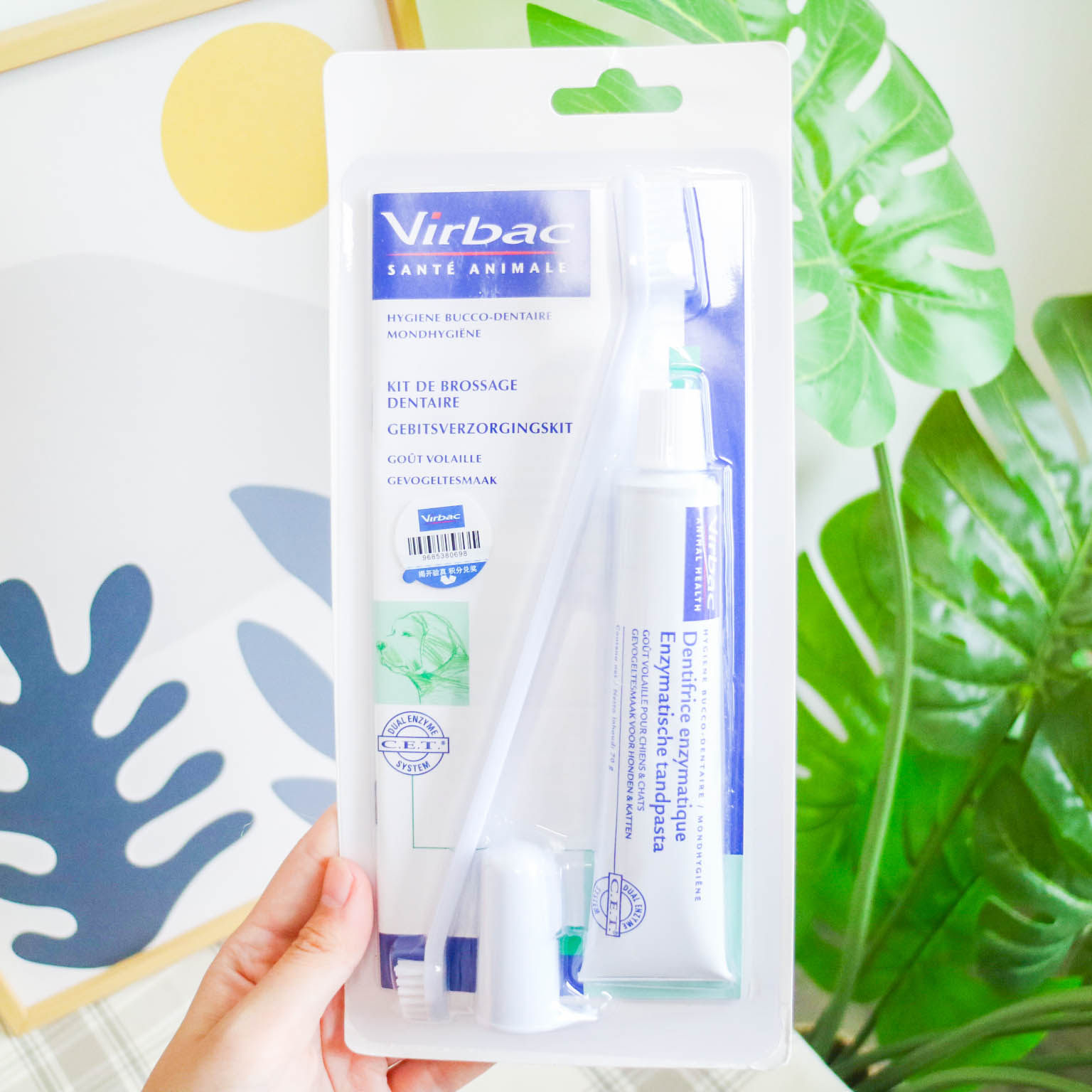 French Vic CET compound enzyme toothpaste set dog cat oral cleaning deodorization calculus dog toothbrush