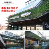 Моделирование зеленое растение стены стены наружная стенка Украшение