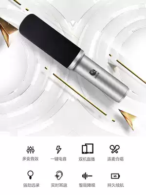 Takstar wins Q5 microphone National K song artifact mobile phone special sound card microphone live singing recording