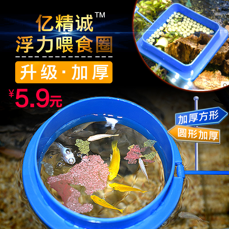 Fish Grain Feeding Ring Goldfish Brocade Carp Feeding machine suspended automatic feeding ring fish fish exclusive with suction cup