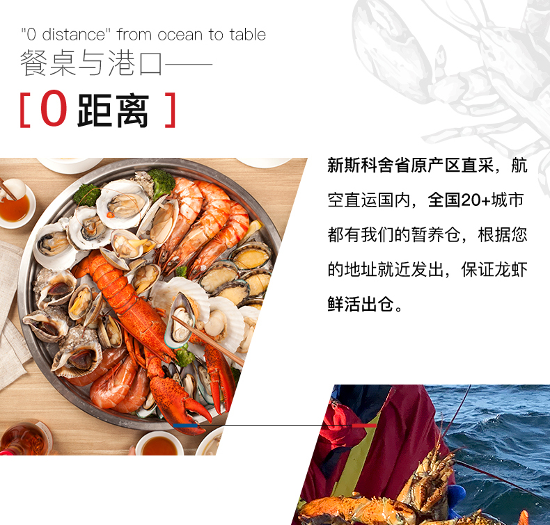 Детали-L-Канадиан Лобстер-Фреш-200530-weibu_11.jpg