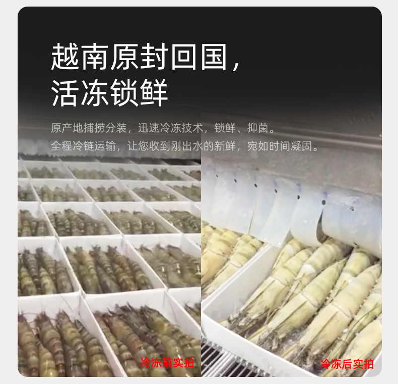 味库 越南黑虎虾 去冰净重1110g 图9