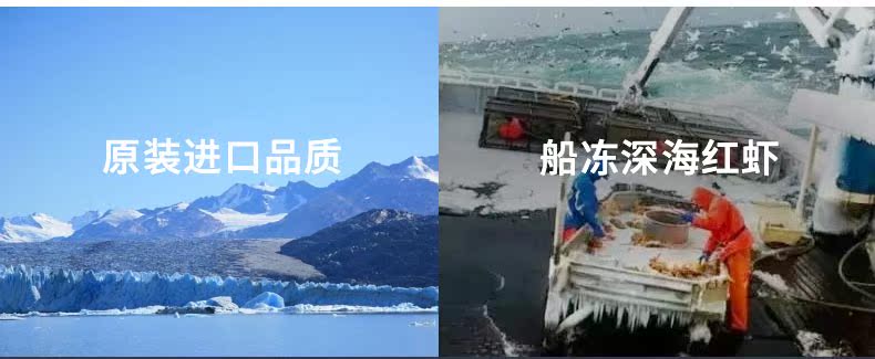 阿根廷进口 新鲜活冻L1号大红虾 2kg 图4