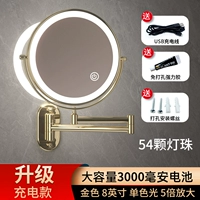 [Обновленная модель зарядки] Золотой 8-дюймовый белый светильник (5-кратное увеличение)