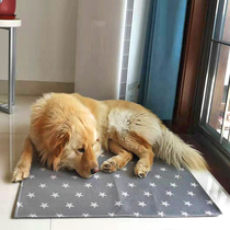 Dogs summer sleeping mats resistant to biting all season GM large dogs sleep with fenced ground mat kitty pet supplies