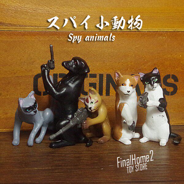 Japanese spy kitty Wang stars Puppy 007 Kirky killer model swinging piece of small animal twisted egg paparazzi