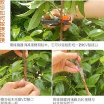 Tree Bud adapter seedling grafting pruning shears gardening tools tree bud knife fruit tree multifunctional