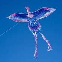 Weifang Phoenix Kite 2024 New National Trend High-end Adults-Special Large Breeze Easy-to-Fly Outdoor Toy
