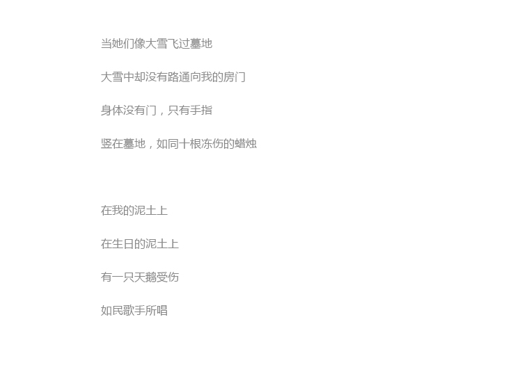 Bague mixte      en Argenterie - Ref 3086824 Image 22